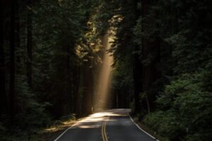 Intuitive Reading: Personal - one hour